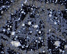 Michelin PRIMACY 4 (4)